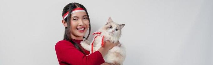 Job: Belfast. {PAID} Female Cat Owner (25-40) Needed for a Creative Upcoming Project!