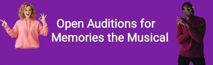 Job: West Sussex. {PAID} Seeking Male Actor/Performer (Age 18+) for Supporting Lead and Ensemble Role of Harry in 'Memories the Musical'